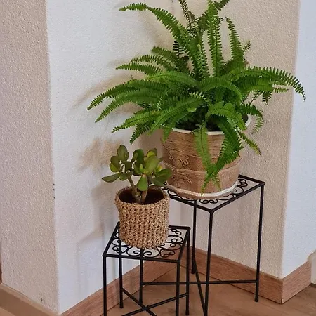 Porat Apartment